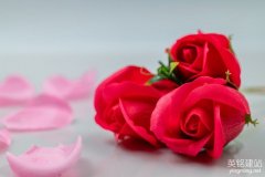 望城企業建站準備工作